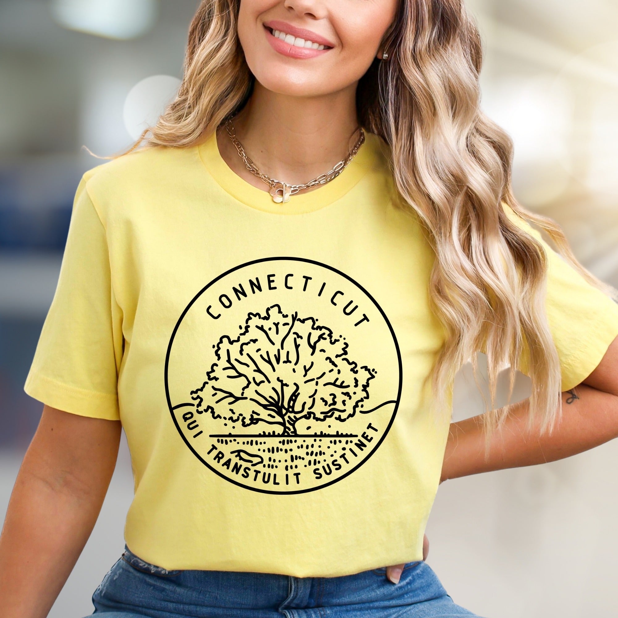 "Connecticut Qui Transtulit Sustinet" State Seal Graphic Tee, a Heritage Pick for Proud Residents