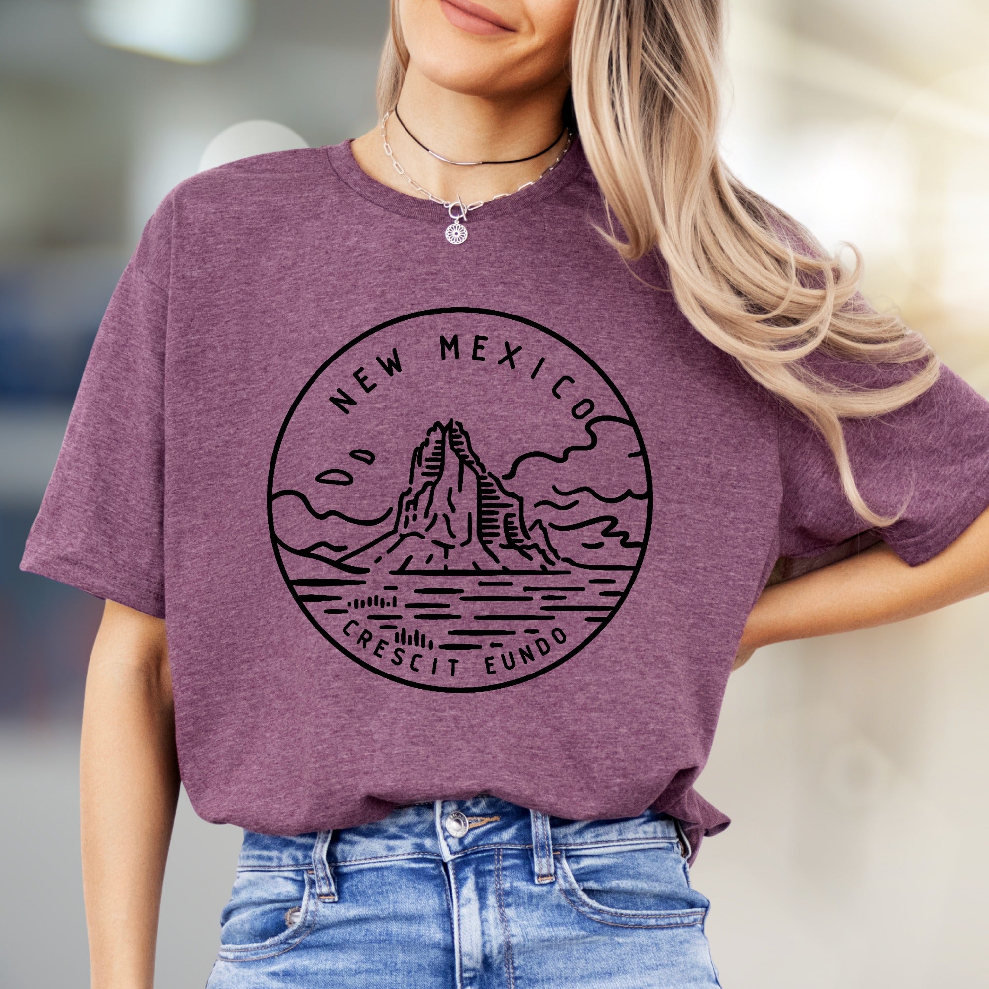 "NEW MEXICO CRESCIT EUNDO" Landscape Graphic Tee, a State Pride Pick for Adventurers