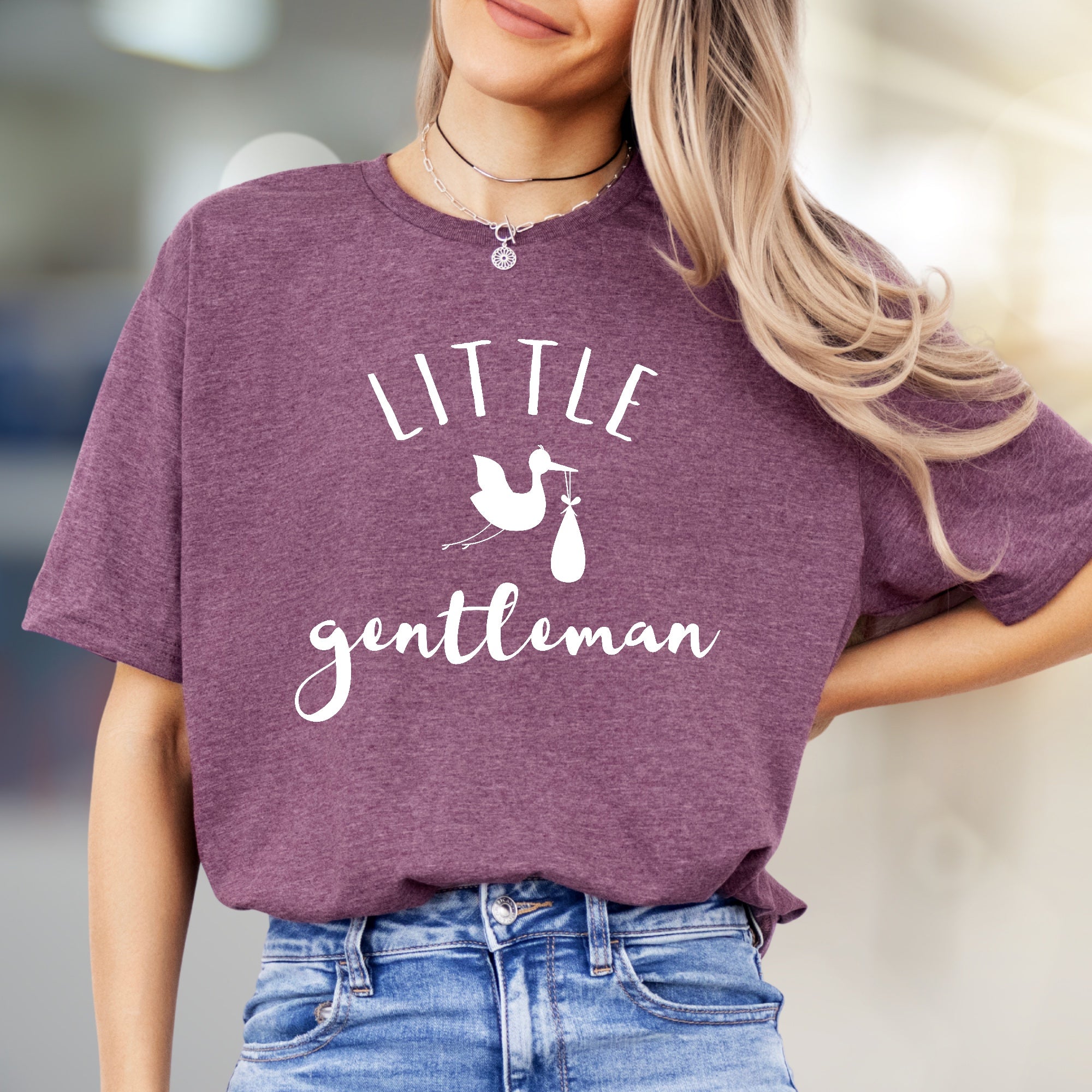 Little Gentleman Stork Graphic Tee, a Pregnancy Annoucement Pick for Expecting Parents